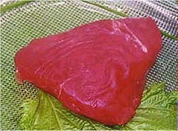Albacore Tuna Steak