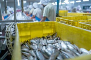 Fish Export Company
