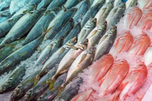 biggest exporter of tuna