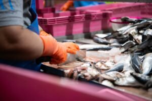 frozen tuna exports
